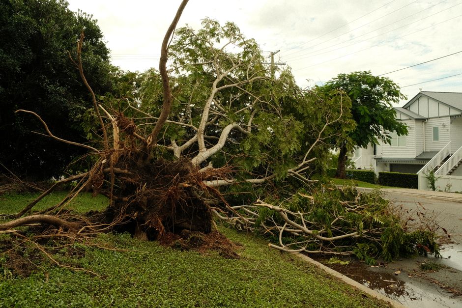 Gereedschap voor stormbestendige tuinonderhoud.