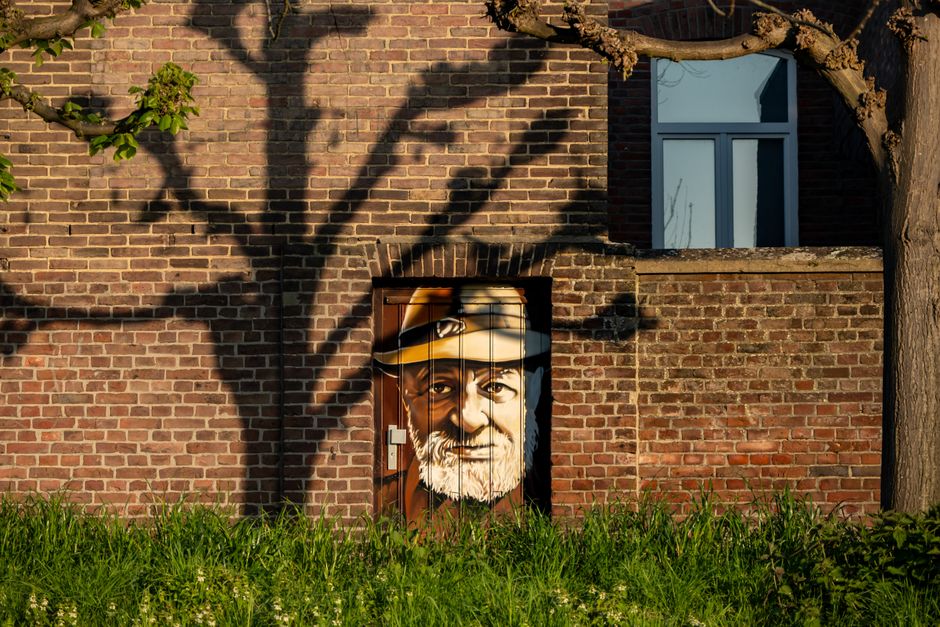 Okergele kameleonschilderij in moderne woonkamer. Okergele kameleonschilderij in moderne woonkamer.